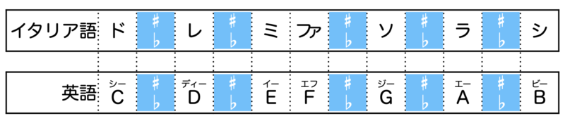 半音階の表を覚えるコツです。長音階を元にして考えると、ミ⇔ファとシ⇔ドは間に♯や♭がありませんが、それ以外の音の間には♯と♭の音があります。
